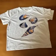 ウミガメ プリント Tシャツ ホワイト - メルカリ