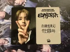 ALD1 EUPHORIA STARRIVER特典トレカ サンウォン