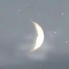 専用