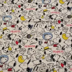 Item thumbnail for item 1d83a171-c046-4077-9a23-519c0997ecc8