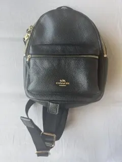 2025年最新】COACH リュック・バックパックの人気アイテム
