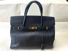 未使用 タグ付き！JRA認定 定価38万円 アフリカンエレファント