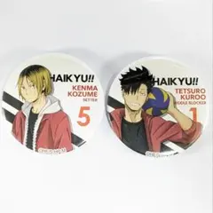 ハイキュー 孤爪研磨 黒尾鉄朗 缶バッジセット