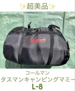 Item thumbnail for item a104f915-a04c-44a7-99b5-09a51e8c60c6