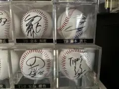 新品未展示】2026 WBC 大谷翔平 山本由伸 記念ボール セット - メルカリ