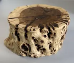 2026年最新】瘤木の人気アイテム - メルカリ