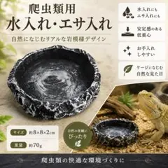 [H194] 파충류 피더, 물그릇, 먹이 접시, 물받이, 도마뱀, 카메, 개구리, 수지