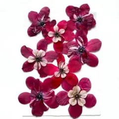 Item thumbnail for item 994427f9-8c9e-4664-8463-29afb2d8eda7