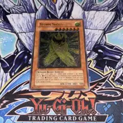 2026年最新】遊戯王 エラー 英語の人気アイテム - メルカリ