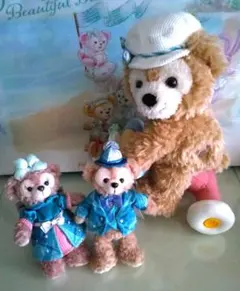 ご確認用◆ ひろぽん 様専用 ①