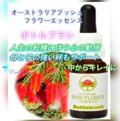 【専用】オーストラリアンブッシュ　フラワーエッセンス　他 オーストラリアンブッシュフラワーエッセンス — ネイチャーワールド