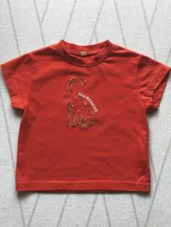恐竜デザイン Tシャツ 2枚セット