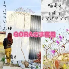 GORA様専用リクエスト2点