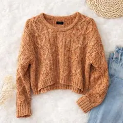 Vanilla 前後差丈 ショート丈 ニット M オレンジ×白 バックロング