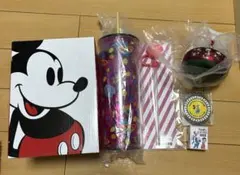 ディズニーストア福袋　2026 約13000円相当　6点セット