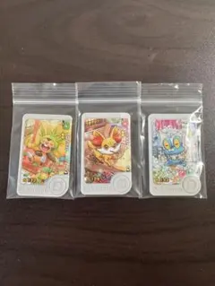 ポケモンフレンダ　パラレルアートピック