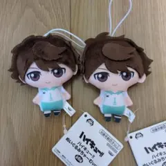 ハイキュー ぬいぐるみちゃーむ