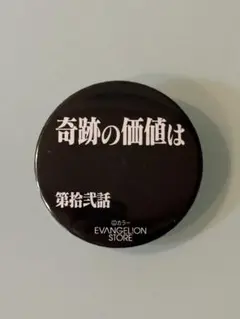 EVANGELION STORE ピンバッジ 奇跡の価値は