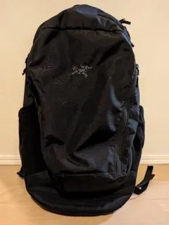 2025年最新】マンティス32の人気アイテム - メルカリ