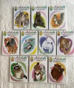 シートンどうぶつ記 全10巻セット 小学生 読書感想文におすすめ 動物名作