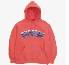 み*ち様 Supreme Icy Arc Hooded Sweatshirt パ