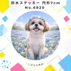 Item thumbnail for item c93cf440-1964-429e-9cba-802e8e443653