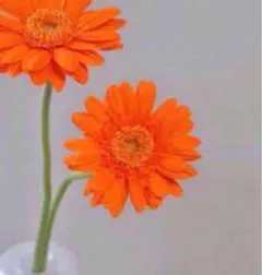 アッキー様専用R