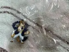 ワンピース ワンピの実 第十九海戦 ロブ・ルッチ