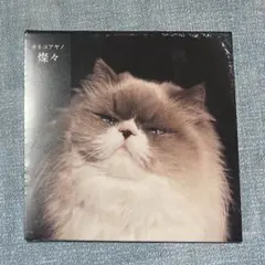 2025年最新】カネコアヤノの人気アイテム - メルカリ