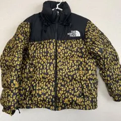 THE NORTH FACE Brave Jacket ヌプシ