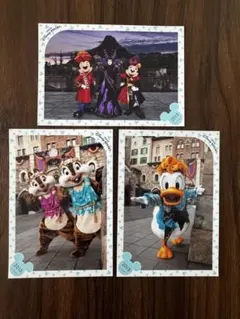 2015年　スペシャルフォト