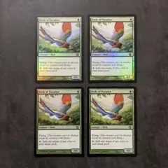 2025年最新】極楽鳥 foilの人気アイテム - メルカリ