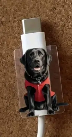 Item thumbnail for item ea2d9b37-fa52-4ffc-a0c3-865a11fe5f33