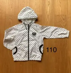 Item thumbnail for item ca998989-3ffb-4816-a0c7-efe2871290b7