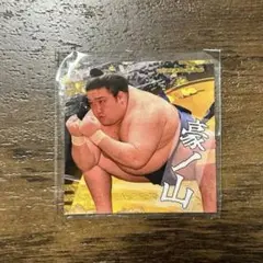 大相撲　豪ノ山関　反物　一反　新品未使用 960px-Gonoyama_Toki20220718.jpg