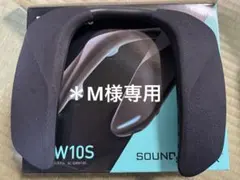 ＊M様専用 パナソニック ネックスピーカーシステム SC-GNW10S