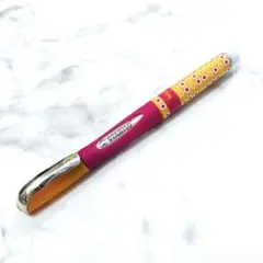 バチカン美術館 ボールペン&万年筆 ペンケース CAMPO MARZIO廃盤