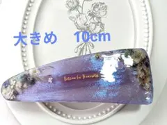 Item thumbnail for item c79e06c6-1fa8-4ef3-ae8a-152815504238