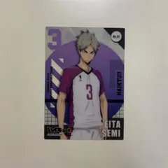 ハイキュー クリアカード 瀬見英太