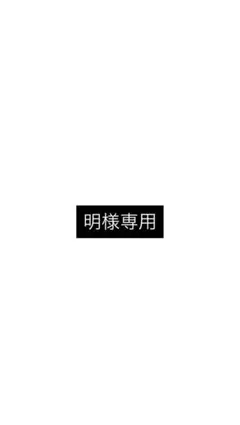専用ページ