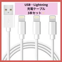 3本セット❤️ iphone 充電 ケーブル　Lightning USB スマホ