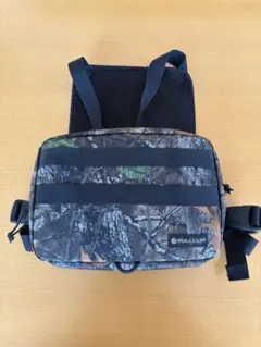 Item thumbnail for item 73d47ea8-cd0e-486e-afca-85239bf00a1b