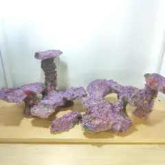 2026年最新】ライブロックレプリカの人気アイテム - メルカリ