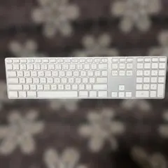 apple a1243 USB キーボード 英語配列 us