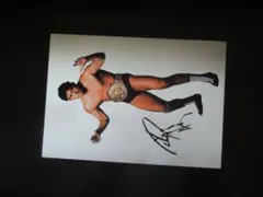 Item thumbnail for item 484214a6-ffad-47ff-8c41-ad81f75dcbed