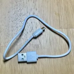 早い者勝ち USB-A to Micro USB 充電ケーブル ホワイト 30㎝
