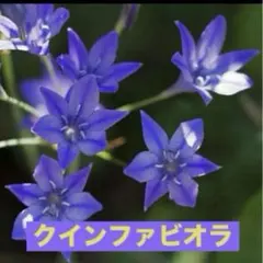 ヨッシー様 リクエスト 4点 まとめ商品