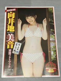 AKB48 向井地美音 別冊フォトブック ヤングチャンピオン付録　みーおん