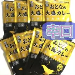 ꧁おとなの大盛辛口カレー8食♦️芳醇でスパイシー♧国内製造・レトルトカレーtのサムネイル