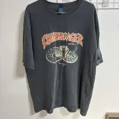 CHALLENGER PIGMENT SNAKE TEE ピグメント ロンT M - メルカリ